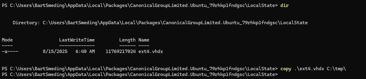 WSL Backup Process